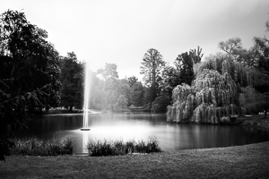 Photographie pose longue parc Orangerie à Strasbourg